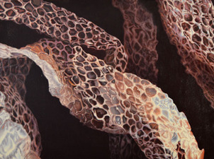 Kevin Klein Snakes Acrylic on Canvas