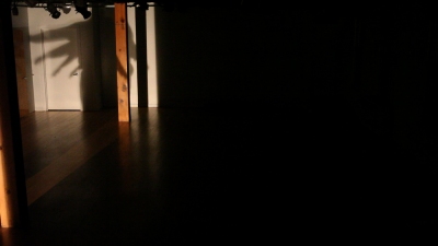 Kim Brandt Older work (choreography) Dance Performance