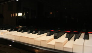 Kim Brandt Older work (visual) Digital Video