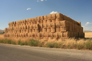 Kim Brandt Older work (visual) Digital Print