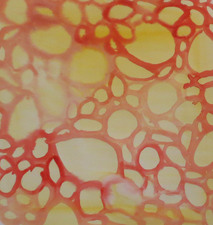 Kimberly DiNatale 2007 Paintings Ink on paper