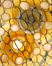 Kimberly DiNatale 2003 Paintings oil on canvas