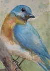 Carousel artwork image 371