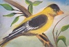 Carousel artwork image 376