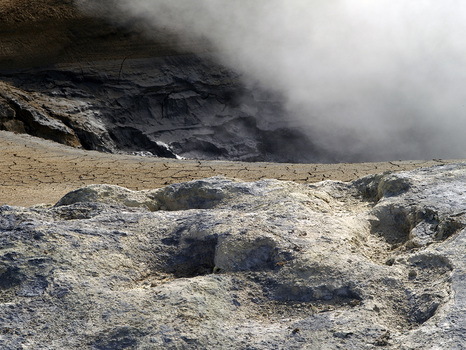 EARTH WORKS / REGENERATIVE STUDIES