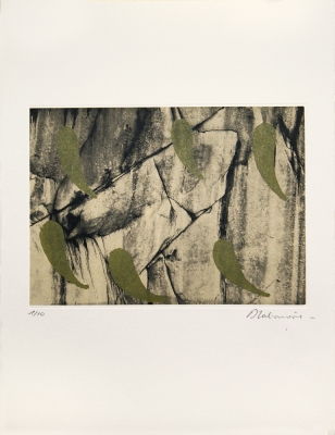 Dominique LABAUVIE Prints Photogravure and Wood cut printed on Kitakata chine collé to Somerset