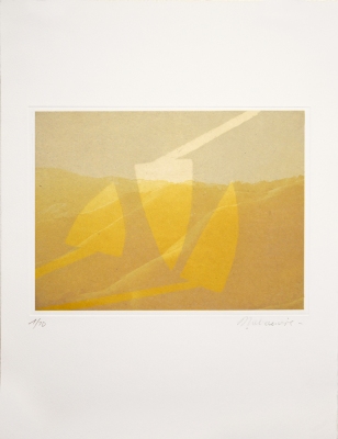 Dominique LABAUVIE Prints Photogravure and woodcut printed on Kitakata chine collé to Somerset