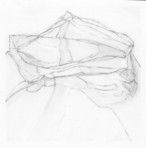Leigh Ann Hallberg Cereal Bag Books and Drawings Graphite on Mylar