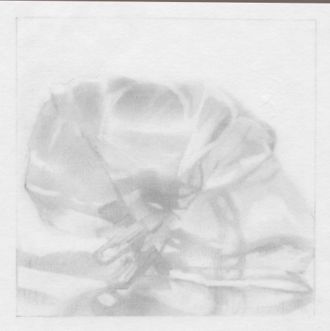 Leigh Ann Hallberg Cereal Bag Books and Drawings Graphite on Vellum