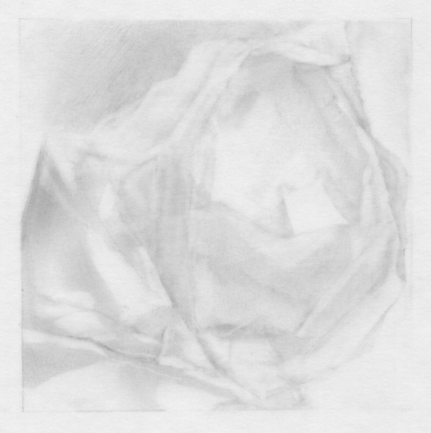 Leigh Ann Hallberg Cereal Bag Books and Drawings Graphite on Vellum