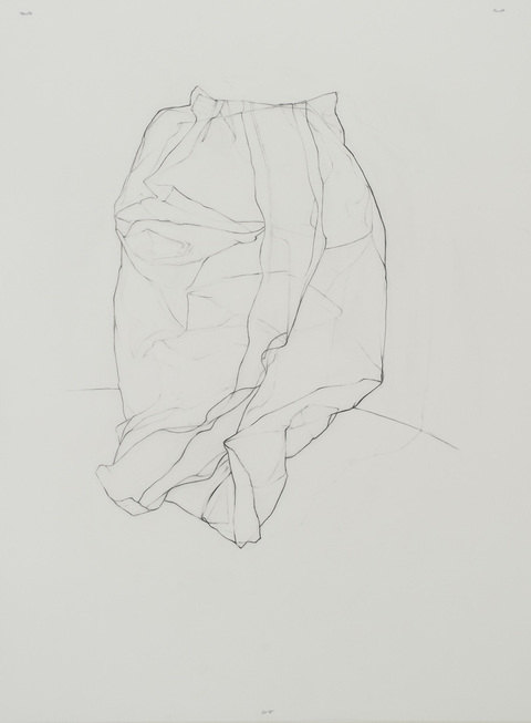 Leigh Ann Hallberg Bags of America, Artist Book Graphite on mylar
