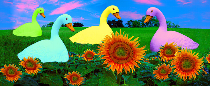 L.A. Photo Curator: Global Photography Awards - 'Where Photography & Philanthropy Meet' Exhibition #1 