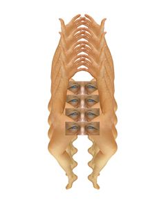 L.A. Photo Curator: Global Photography Awards - 'Where Photography & Philanthropy Meet' Exhibition #2 