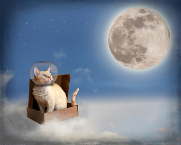 L.A. Photo Curator: Global Photography Awards - 'Where Photography & Philanthropy Meet' Exhibition #2 