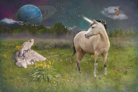 L.A. Photo Curator: Global Photography Awards - 'Where Photography & Philanthropy Meet' Exhibition #2 