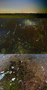 L.A. Photo Curator: Global Photography Awards - 'Where Photography & Philanthropy Meet' Exhibition #3 