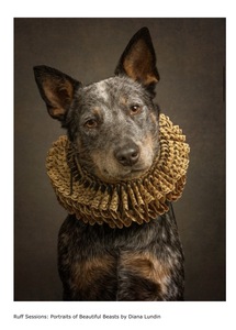 L.A. Photo Curator: Global Photography Awards - 'Where Photography & Philanthropy Meet' Interview: Laurie Freitag & Diana Lundin 