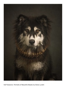 L.A. Photo Curator: Global Photography Awards - 'Where Photography & Philanthropy Meet' Interview: Laurie Freitag & Diana Lundin 