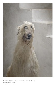 L.A. Photo Curator: Global Photography Awards - 'Where Photography & Philanthropy Meet' Interview: Laurie Freitag & Diana Lundin 