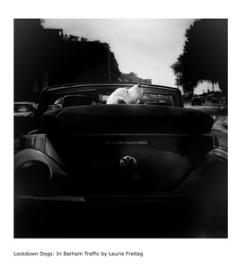 L.A. Photo Curator: Global Photography Awards - 'Where Photography & Philanthropy Meet' Interview: Laurie Freitag & Diana Lundin 