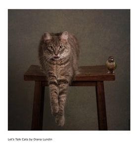 L.A. Photo Curator: Global Photography Awards - 'Where Photography & Philanthropy Meet' Interview: Laurie Freitag & Diana Lundin 