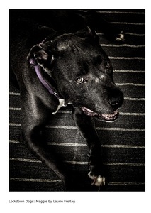 L.A. Photo Curator: Global Photography Awards - 'Where Photography & Philanthropy Meet' Interview: Laurie Freitag & Diana Lundin 