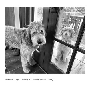 L.A. Photo Curator: Global Photography Awards - 'Where Photography & Philanthropy Meet' Interview: Laurie Freitag & Diana Lundin 