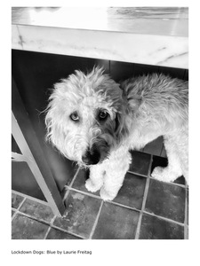 L.A. Photo Curator: Global Photography Awards - 'Where Photography & Philanthropy Meet' Interview: Laurie Freitag & Diana Lundin 