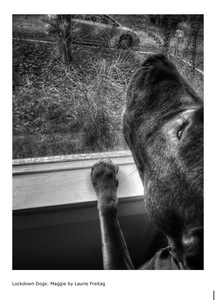 L.A. Photo Curator: Global Photography Awards - 'Where Photography & Philanthropy Meet' Interview: Laurie Freitag & Diana Lundin 