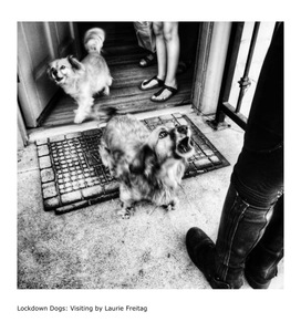 L.A. Photo Curator: Global Photography Awards - 'Where Photography & Philanthropy Meet' Interview: Laurie Freitag & Diana Lundin 