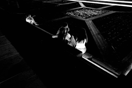 L.A. Photo Curator: Global Photography Awards - 'Where Photography & Philanthropy Meet' Exhibition 