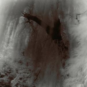 L.A. Photo Curator: Global Photography Awards - 'Where Photography & Philanthropy Meet' Exhibition 