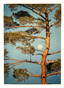L.A. Photo Curator: Global Photography Awards - 'Where Photography & Philanthropy Meet' Exhibition 