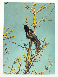 L.A. Photo Curator: Global Photography Awards - 'Where Photography & Philanthropy Meet' Exhibition 