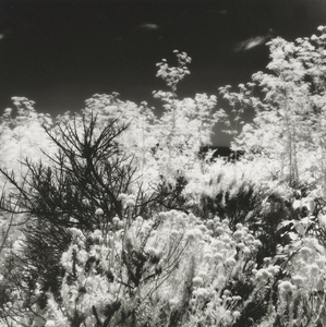 L.A. Photo Curator: Global Photography Awards - 'Where Photography & Philanthropy Meet' Exhibition 