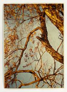 L.A. Photo Curator: Global Photography Awards - 'Where Photography & Philanthropy Meet' Exhibition 