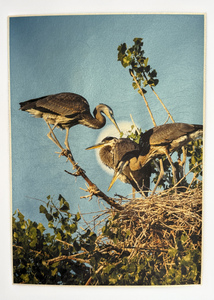 L.A. Photo Curator: Global Photography Awards - 'Where Photography & Philanthropy Meet' Exhibition 