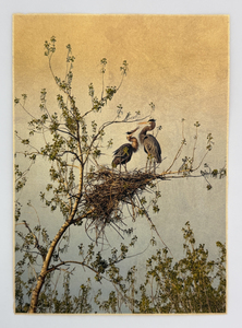L.A. Photo Curator: Global Photography Awards - 'Where Photography & Philanthropy Meet' First Place: Maureen Ruddy Burkhart ‘The Last Rookery’ #1 