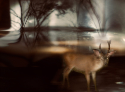 L.A. Photo Curator: Global Photography Awards - 'Where Photography & Philanthropy Meet' Exhibition #2 