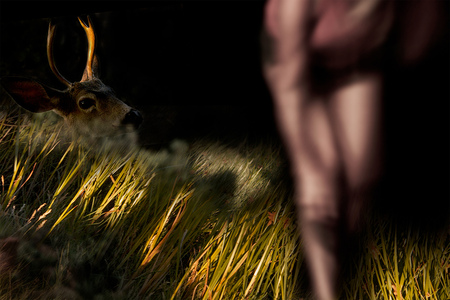 L.A. Photo Curator: Global Photography Awards - 'Where Photography & Philanthropy Meet' Exhibition #2 