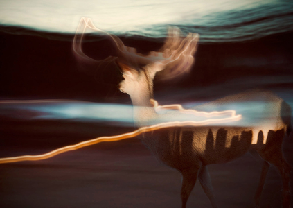 L.A. Photo Curator: Global Photography Awards - 'Where Photography & Philanthropy Meet' Exhibition #2 
