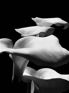 L.A. Photo Curator: Global Photography Awards - 'Where Photography & Philanthropy Meet' Exhibition #2 