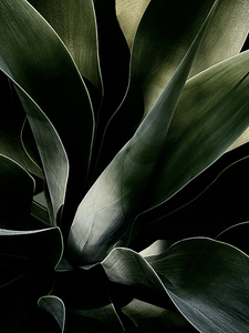 L.A. Photo Curator: Global Photography Awards - 'Where Photography & Philanthropy Meet' Exhibition #2 