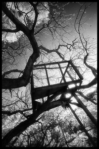 L.A. Photo Curator: Global Photography Awards - 'Where Photography & Philanthropy Meet' Exhibition #2 