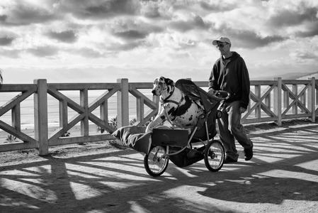 L.A. Photo Curator: Global Photography Awards - 'Where Photography & Philanthropy Meet' Exhibition #3 