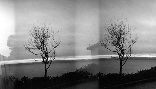 L.A. Photo Curator: Global Photography Awards - 'Where Photography & Philanthropy Meet' Solo Show: Ann- Marie Donahue 