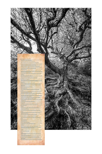 L.A. Photo Curator: Global Photography Awards - 'Where Photography & Philanthropy Meet' Shape of the Father-Exhibition #1 