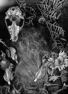 L.A. Photo Curator: Global Photography Awards - 'Where Photography & Philanthropy Meet' FIRST PLACE:Eileen Hohmuth-Lemonick: "Death" 