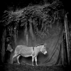 L.A. Photo Curator: Global Photography Awards - 'Where Photography & Philanthropy Meet' 21 Women Photographers  