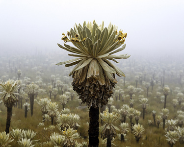 L.A. Photo Curator: Global Photography Awards - 'Where Photography & Philanthropy Meet' Exhibition #3 